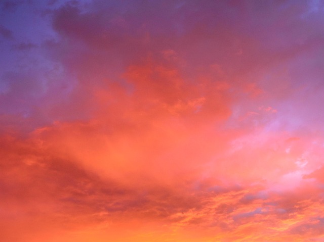 pixabay_d02055520c6f06e68d0552e5af783f1f.jpg