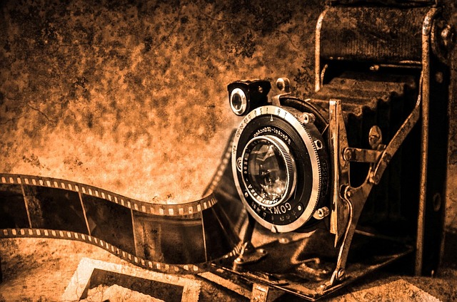 pixabay_fe40ab5180371d4bd45b09e3af055cdd.jpg